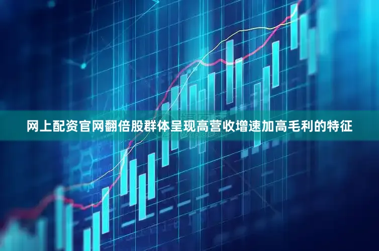网上配资官网翻倍股群体呈现高营收增速加高毛利的特征